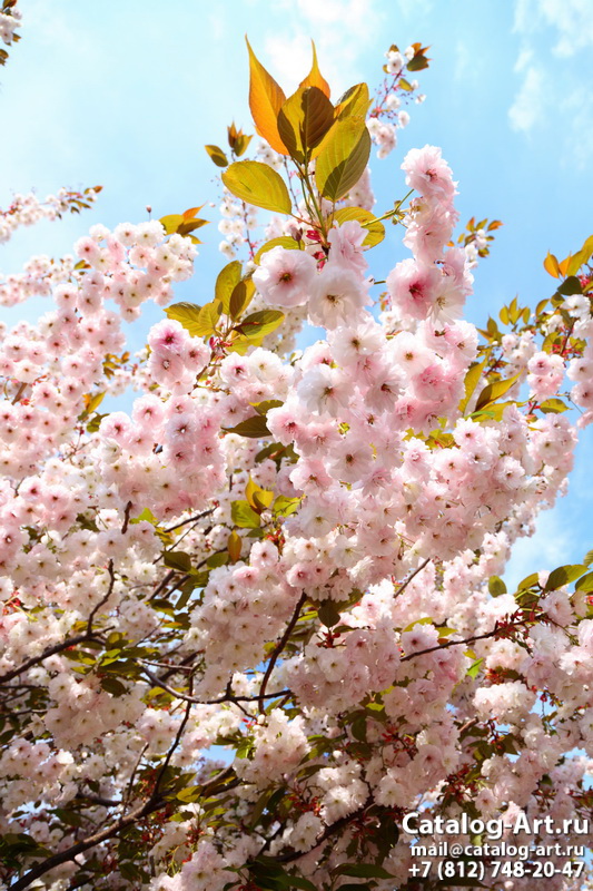 Blossom tree 71